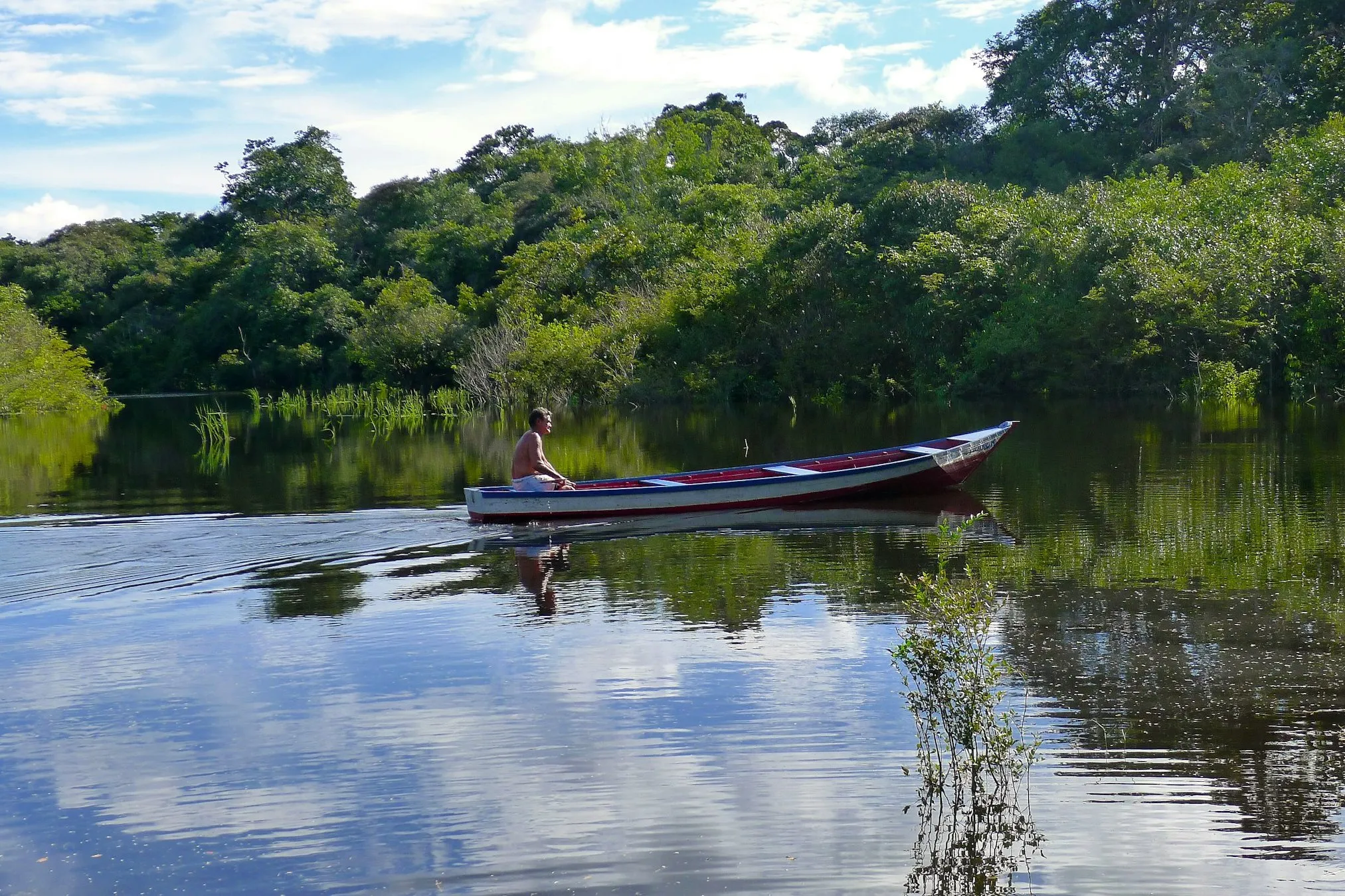 A canoe on a calm river surrounded by Amazon forest.