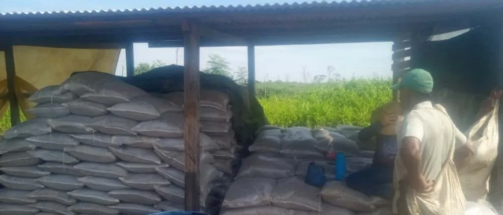 Filled sacks stacked under an open-sided shed at the cooperative, with a man in a green cap carrying a white bag.