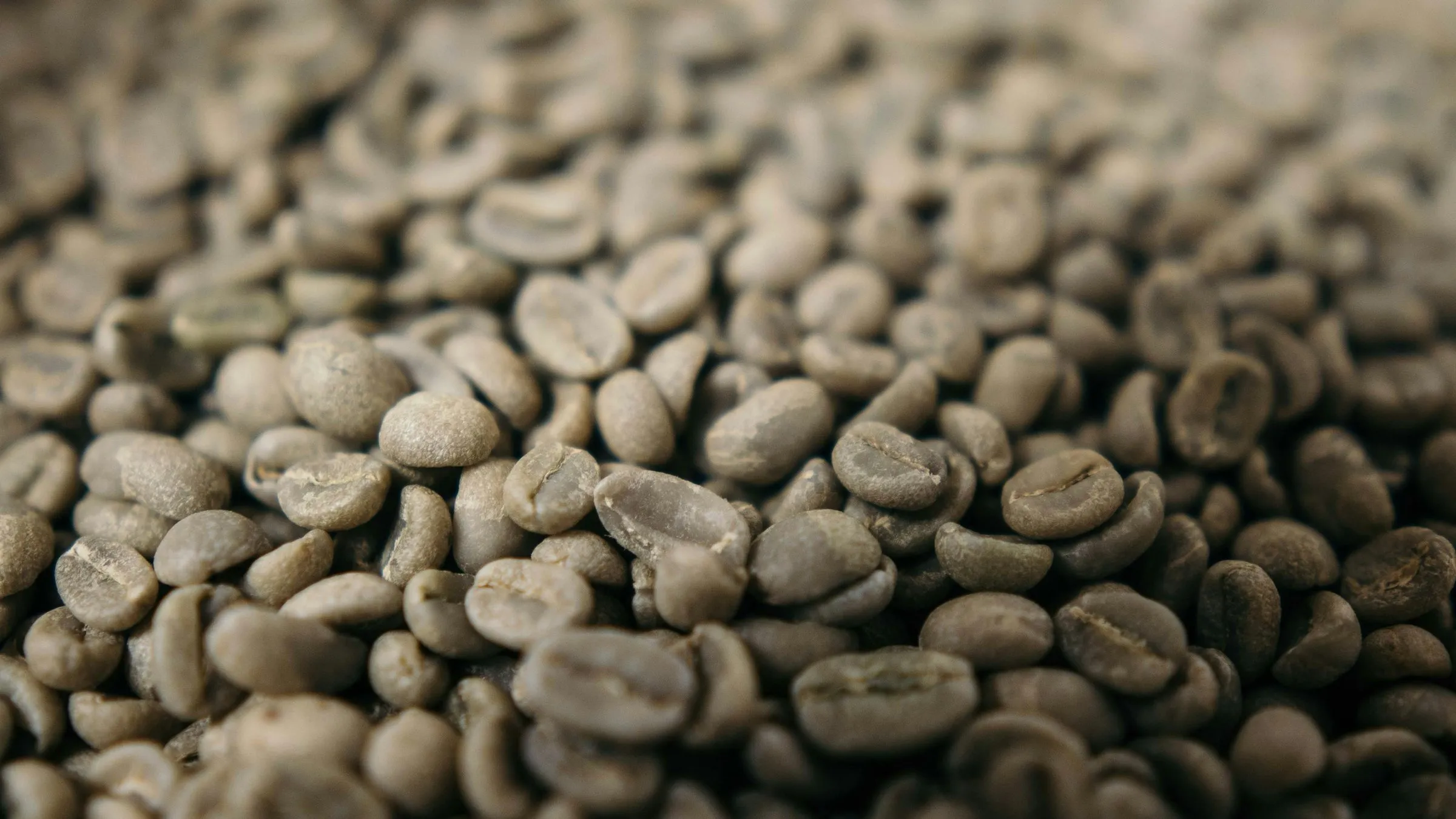 Green coffee beans, close up.