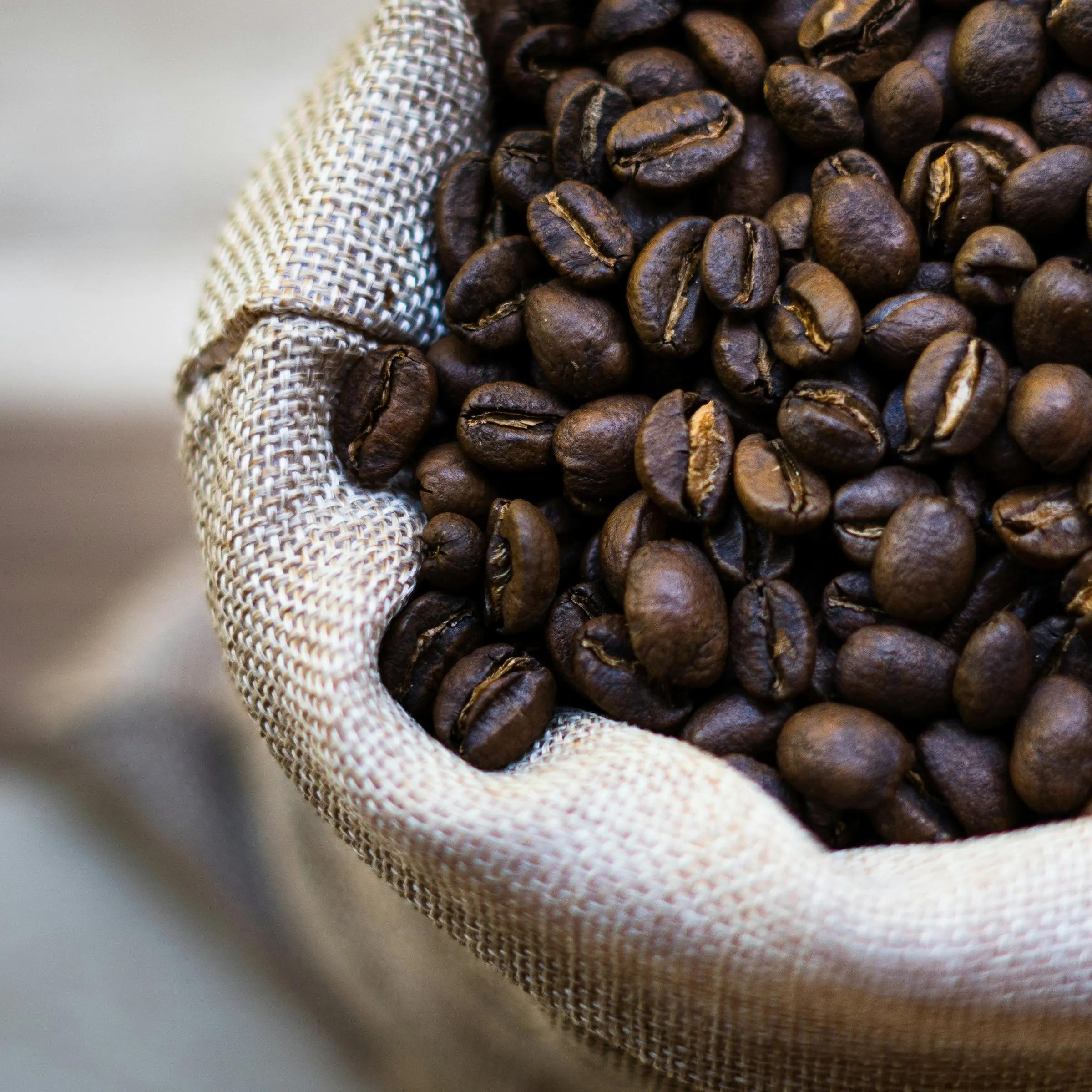 Roasted coffee beans in an open burlap sack.