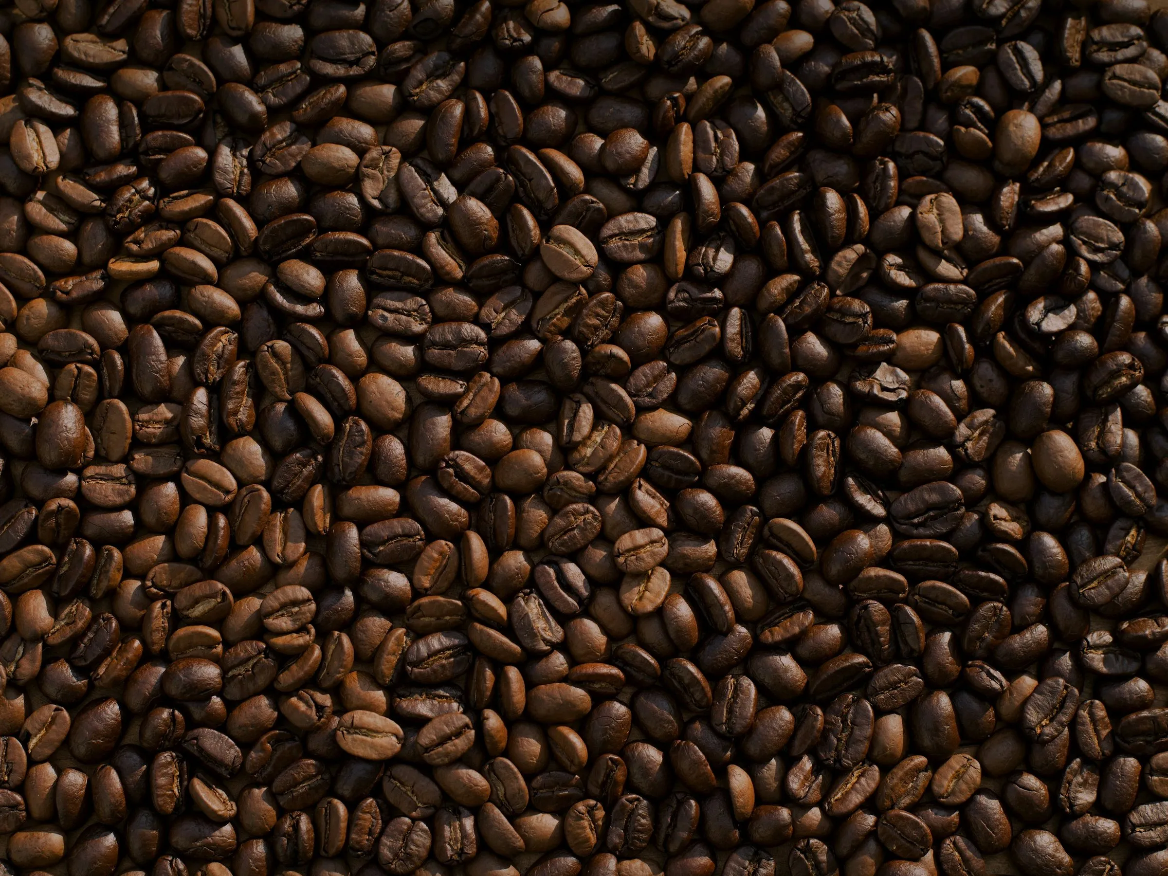 Roasted coffee beans filling the frame.